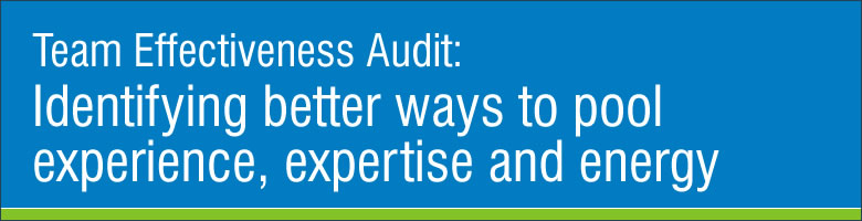 Team Effectiveness Audit