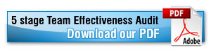 Team Effectivess PDF