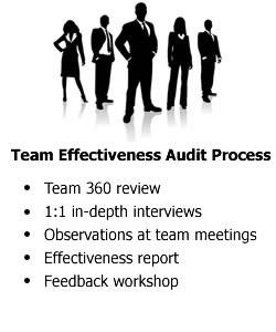 Team Effectiveness
