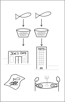 Fish Diagram